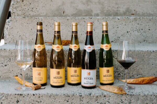 Row of Hugel wine bottles and wine glasses for Oktoberfest beer and wine